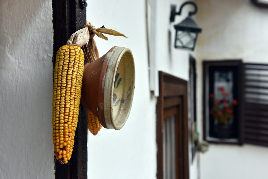 Ornamental rustic ceramic plate and corn hanging on the wall