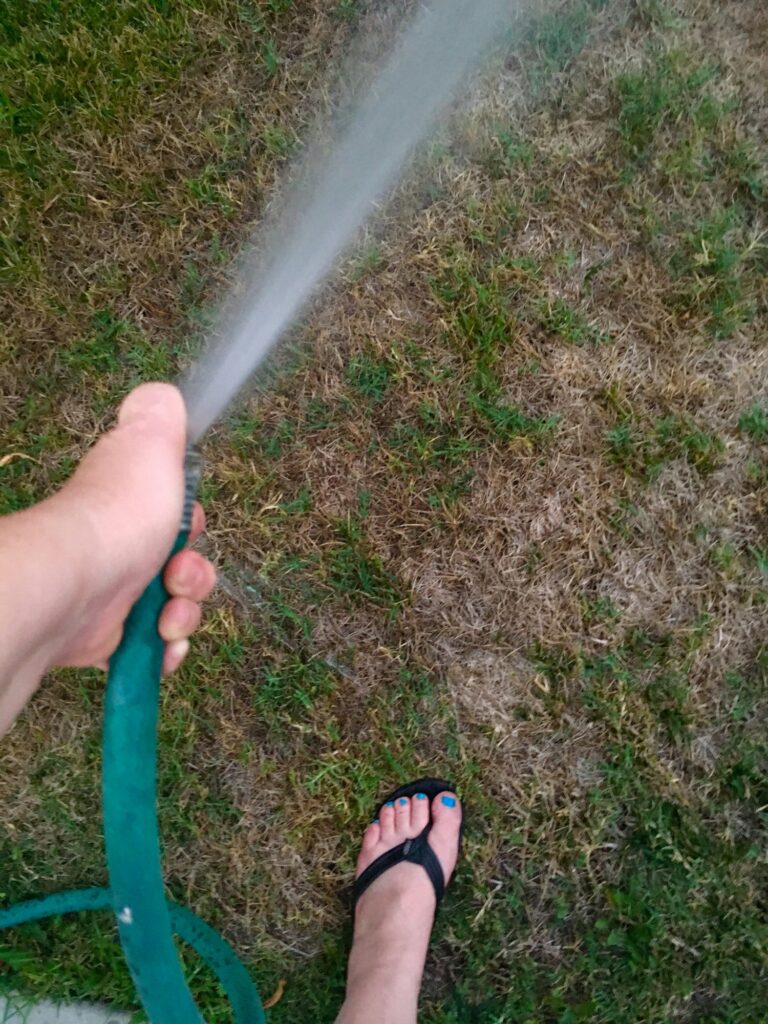 Water conservation: hand watering at dusk instead of sprinklers to conserve water